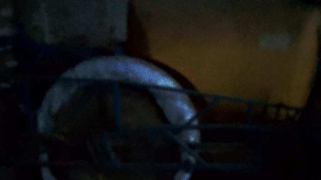 Опрыскиватель ОПШ-2500, инв. №930 (Витебская обл., Ушачский р-н, аг.Глыбочка, ул. Центральная, 31В)