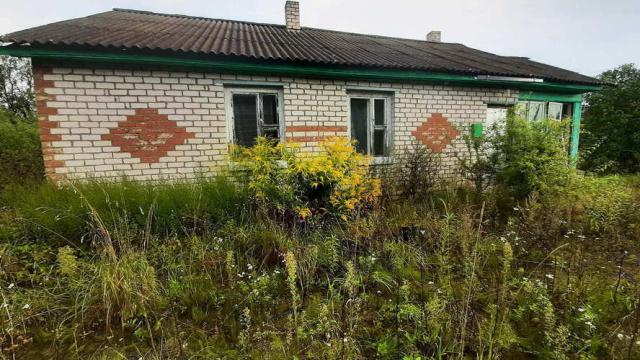 Здание одноквартирного жилого дома пл. 61,9 кв.м. инв. №1277 (Витебская обл., Браславский р-н, Друевский с/с, д.Чернево, 60)