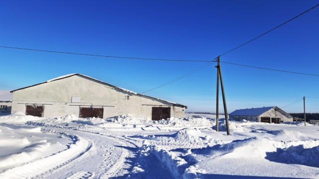 Комплекс 9 зданий фермы (2 коровника, 4 телятника, склад, навес, 5 сенажных траншей) общей пл. 10734,5 кв.м. с благоустройством территории и прочим имуществом (Витебская обл., Глубокский р-н, Озерецкий с/с, 22, вблизи д.Каминщина)