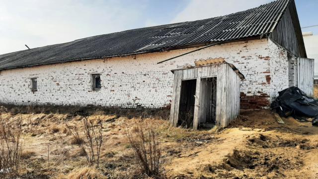 Капитальное строение, телятник пл. 827,2 кв.м. (Витебская обл., Браславский р-н, Друевский с/с, 84, вблизи аг. Друйск)