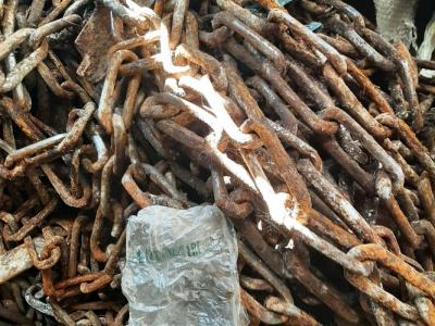 Оборудование навозоудаления (цепь транспортерная - 2 шт.), инв. №001 (Витебская обл., Браславский р-н, аг.Друя, ул. Браславская, 62)