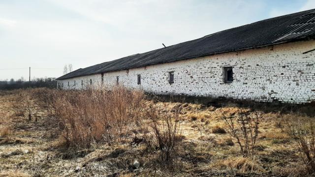 Капитальное строение, телятник пл. 827,2 кв.м. (Витебская обл., Браславский р-н, Друевский с/с, 84, вблизи аг. Друйск)