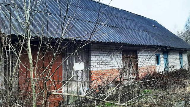 Здание одноквартирного жилого дома пл. 61,9 кв.м. инв. №1277 (Витебская обл., Браславский р-н, Друевский с/с, д.Чернево, 60)