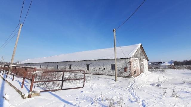 Капитальное строение, телятник пл. 827,2 кв.м. (Витебская обл., Браславский р-н, Друевский с/с, 84, вблизи аг. Друйск)