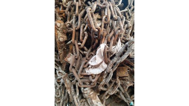 Оборудование навозоудаления (цепь транспортерная - 2 шт.), инв. №001 (Витебская обл., Браславский р-н, аг.Друя, ул. Браславская, 62)