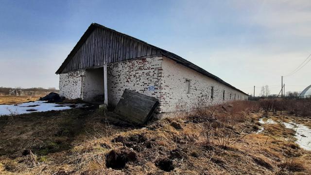 Капитальное строение, телятник пл. 827,2 кв.м. (Витебская обл., Браславский р-н, Друевский с/с, 84, вблизи аг. Друйск)