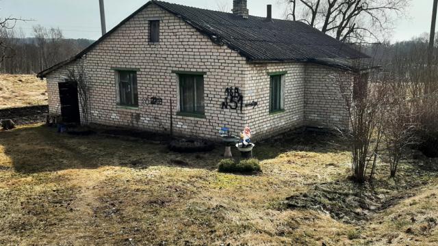 Капитальное строение, жилой дом пл. 78,8 кв.м. (Витебская обл., Браславский р-н, Друевский с/с, д.Оплиса 1, д. 51)