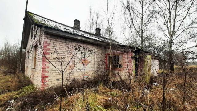 Здание одноквартирного жилого дома пл. 56,8 кв.м., инв. №543 (Витебская обл., Браславский р-н, Друевский с/с, д.Чернево, 51)