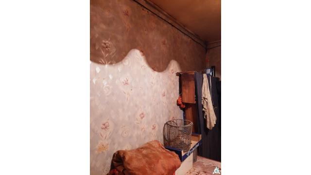 Капитальное строение, жилой дом пл. 78,8 кв.м. (Витебская обл., Браславский р-н, Друевский с/с, д.Оплиса 1, д. 51)