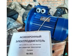 Оборудование навозоудаления (асинхронный электродвигатель - 3 шт.), инв. №002 (Витебская обл., Браславский р-н, аг.Друя, ул. Браславская, 62)