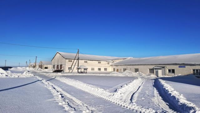 Комплекс 9 зданий фермы (2 коровника, 4 телятника, склад, навес, 5 сенажных траншей) общей пл. 10734,5 кв.м. с благоустройством территории и прочим имуществом (Витебская обл., Глубокский р-н, Озерецкий с/с, 22, вблизи д.Каминщина)