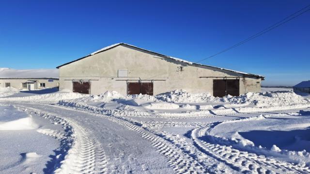 Комплекс 9 зданий фермы (2 коровника, 4 телятника, склад, навес, 5 сенажных траншей) общей пл. 10734,5 кв.м. с благоустройством территории и прочим имуществом (Витебская обл., Глубокский р-н, Озерецкий с/с, 22, вблизи д.Каминщина)