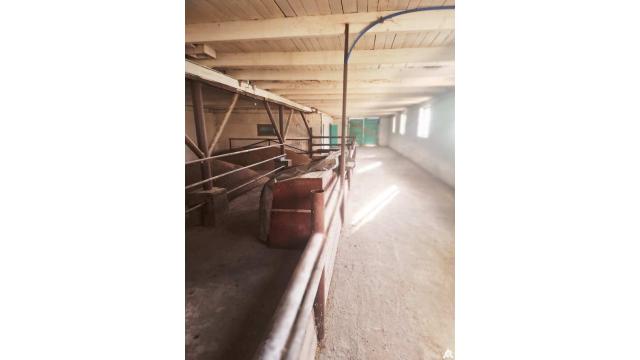 Капитальное строение с инв. №220/C-27299, склад пл. 508,5 кв.м. (Витебская обл., Глубокский р-н, Озерецкий с/с, д.Залесье, ул. Парковая, 16)