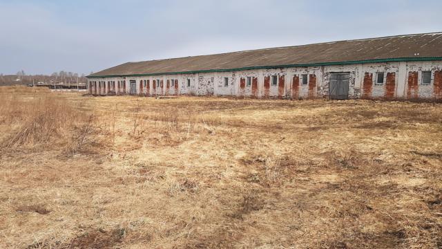 Капитальное строение, коровник пл. 1627,7 кв.м. (Витебская обл., Браславский р-н, Друевский с/с, 87, вблизи аг.Друйск)