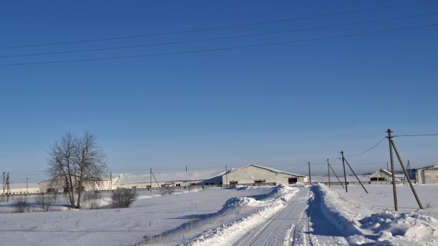 Комплекс имущества (2 коровника, 4 телятника, склад, навес, 5 сенажных траншей) общей пл. 10734,5 кв.м. с благоустройством территории и прочим имуществом (Витебская обл., Глубокский р-н, Озерецкий с/с, 22, вблизи д.Каминщина)