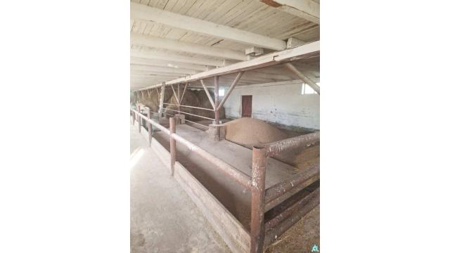 Капитальное строение с инв. №220/C-27299, склад пл. 508,5 кв.м. (Витебская обл., Глубокский р-н, Озерецкий с/с, д.Залесье, ул. Парковая, 16)