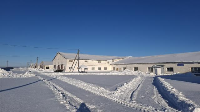 Комплекс имущества (2 коровника, 4 телятника, склад, навес, 5 сенажных траншей) общей пл. 10734,5 кв.м. с благоустройством территории и прочим имуществом (Витебская обл., Глубокский р-н, Озерецкий с/с, 22, вблизи д.Каминщина)