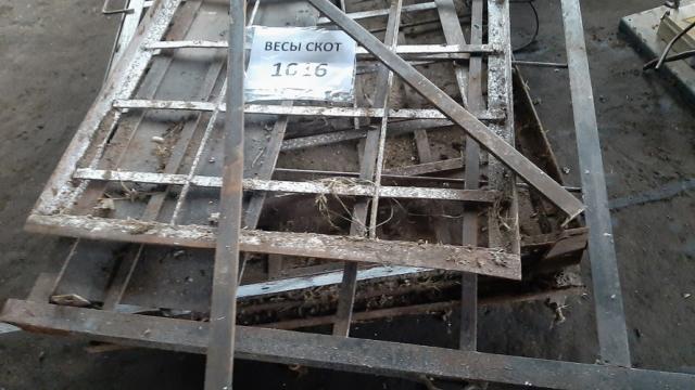 Весы для взвешивания скота, инв. №1016 (Витебская обл., Браславский р-н, аг.Друя, ул. Браславская, 62)