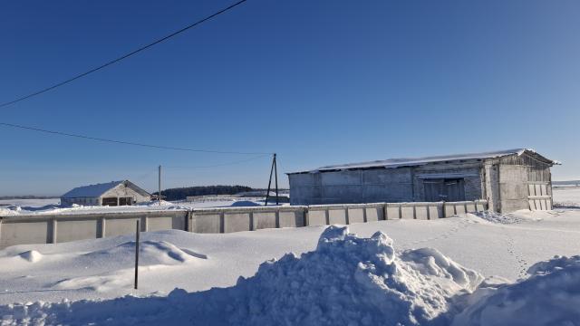 Комплекс имущества (2 коровника, 4 телятника, склад, навес, 5 сенажных траншей) общей пл. 10734,5 кв.м. с благоустройством территории и прочим имуществом (Витебская обл., Глубокский р-н, Озерецкий с/с, 22, вблизи д.Каминщина)