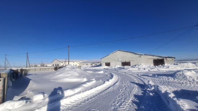 Комплекс имущества (2 коровника, 4 телятника, склад, навес, 5 сенажных траншей) общей пл. 10734,5 кв.м. с благоустройством территории и прочим имуществом (Витебская обл., Глубокский р-н, Озерецкий с/с, 22, вблизи д.Каминщина)