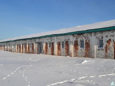 Капитальное строение, коровник пл. 1627,7 кв.м. (Витебская обл., Браславский р-н, Друевский с/с, 87, вблизи аг.Друйск)