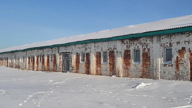 Капитальное строение, коровник пл. 1627,7 кв.м. (Витебская обл., Браславский р-н, Друевский с/с, 87, вблизи аг.Друйск)
