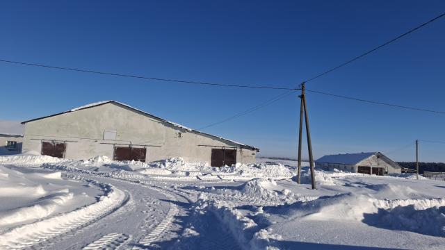 Комплекс имущества (2 коровника, 4 телятника, склад, навес, 5 сенажных траншей) общей пл. 10734,5 кв.м. с благоустройством территории и прочим имуществом (Витебская обл., Глубокский р-н, Озерецкий с/с, 22, вблизи д.Каминщина)