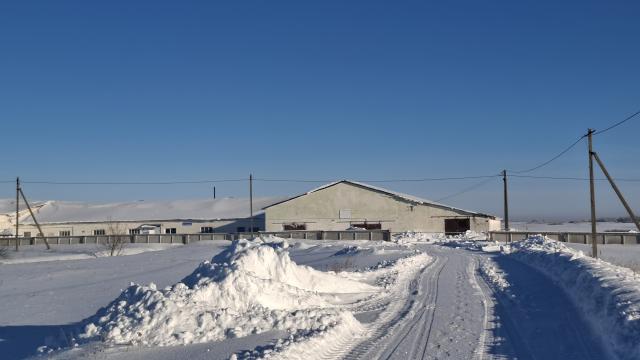 Комплекс имущества (2 коровника, 4 телятника, склад, навес, 5 сенажных траншей) общей пл. 10734,5 кв.м. с благоустройством территории и прочим имуществом (Витебская обл., Глубокский р-н, Озерецкий с/с, 22, вблизи д.Каминщина)