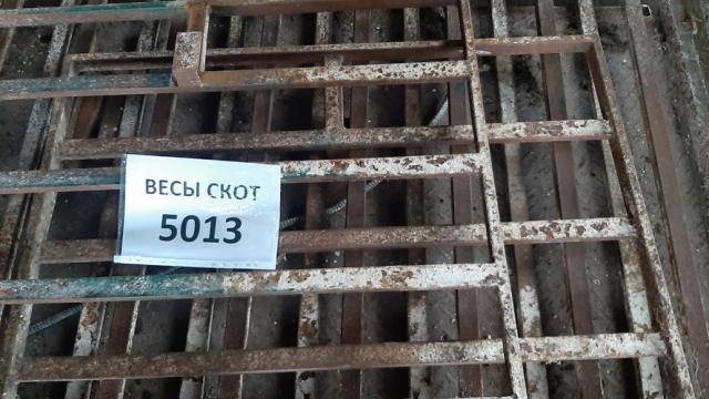 Весы для взвешивания скота, инв. №5013 (Витебская обл., Браславский р-н, аг.Друя, ул. Браславская, 62)