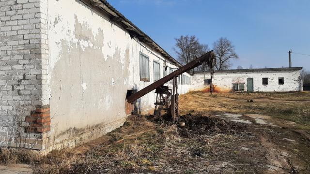 Комплекс 2 зданий фермы в аг.Друя (коровник, телятник, 3 сенажные траншеи) общей пл. 3161,9 кв.м. с прочим имуществом (Витебская обл., Браславский р-н, Друевский с/с, 81 и 82, вблизи аг.Друя)