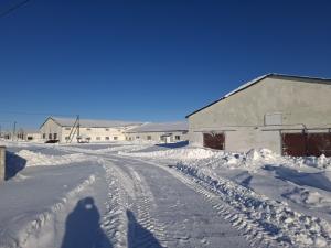 Комплекс имущества (2 коровника, 4 телятника, склад, навес, 5 сенажных траншей) общей пл. 10734,5 кв.м. с благоустройством территории и прочим имуществом (Витебская обл., Глубокский р-н, Озерецкий с/с, 22, вблизи д.Каминщина)