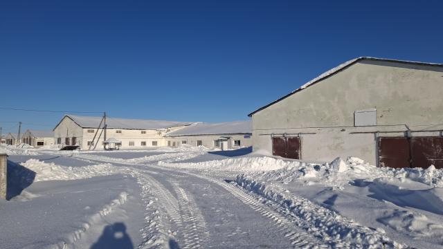 Комплекс имущества (2 коровника, 4 телятника, склад, навес, 5 сенажных траншей) общей пл. 10734,5 кв.м. с благоустройством территории и прочим имуществом (Витебская обл., Глубокский р-н, Озерецкий с/с, 22, вблизи д.Каминщина)