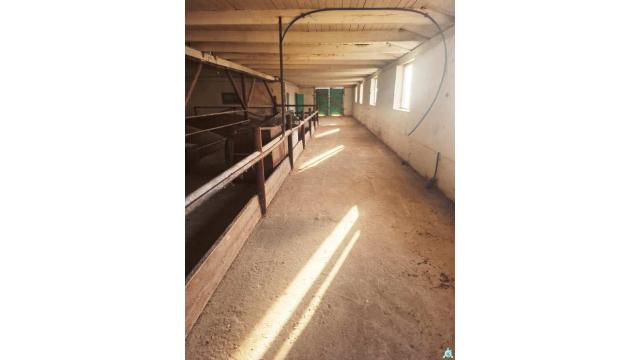 Капитальное строение с инв. №220/C-27299, склад пл. 508,5 кв.м. (Витебская обл., Глубокский р-н, Озерецкий с/с, д.Залесье, ул. Парковая, 16)