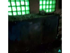 Компрессор, инв. №39 (Витебская обл., Ушачский р-н, аг.Глыбочка, ул. Центральная, 31В)