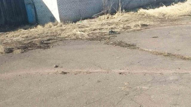 Комплекс имущества (механический зерноток, склады) в аг.Глыбочка с учетом прочего имущества (Витебская обл., Ушачский р-н, аг.Глыбочка, ул. Центральная, 31В)