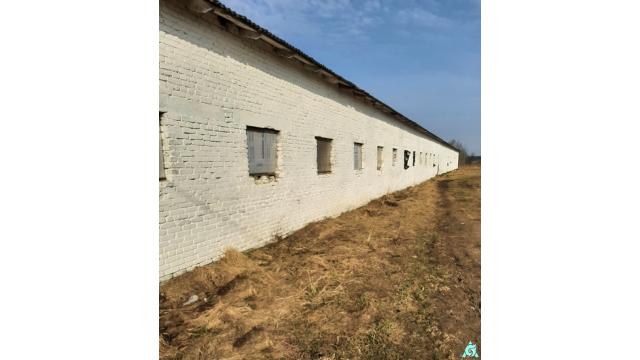 Капитальное строение, телятник пл. 1023,9 кв.м. (Витебская обл., Браславский р-н, Друевский с/с, 79, вблизи аг.Друя)