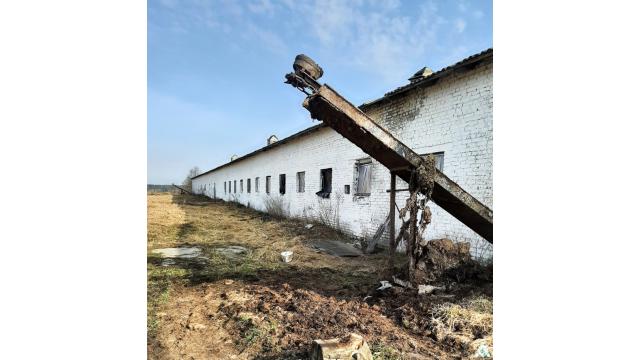 Капитальное строение, телятник пл. 1023,9 кв.м. (Витебская обл., Браславский р-н, Друевский с/с, 79, вблизи аг.Друя)