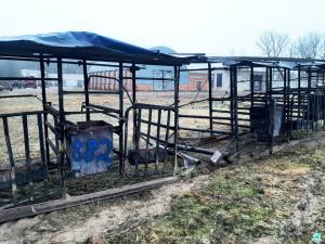 Доильная установка передвижная, инв. №882 (Витебская обл., Браславский р-н, аг.Друя, ул. Браславская, 62)