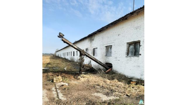 Капитальное строение, телятник пл. 1023,9 кв.м. (Витебская обл., Браславский р-н, Друевский с/с, 79, вблизи аг.Друя)